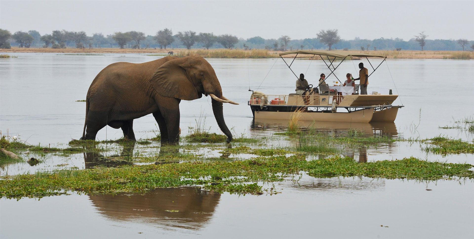 ZAMBIA-Chiawa & Old Mondoro-Chiawa Camp-Chiawa floating lunch